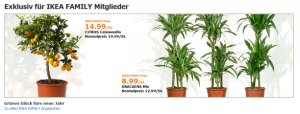 Screenshot der IKEA Family Seite im Online Shop